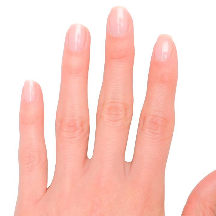 Hand